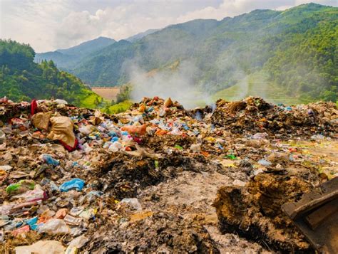 Qu Consecuencias Tiene No Reciclar Incluye V Deo