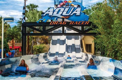 Top Waterparks Near Kissimmee Things To Do Experience Kissimmee