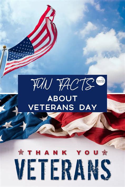 Fun Facts About Veterans Day - Mama Teaches