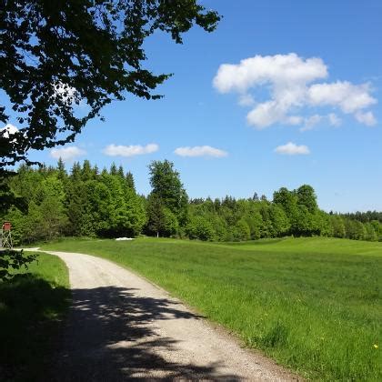 Wehringen Reiseführer Reisetipps Outdooractive