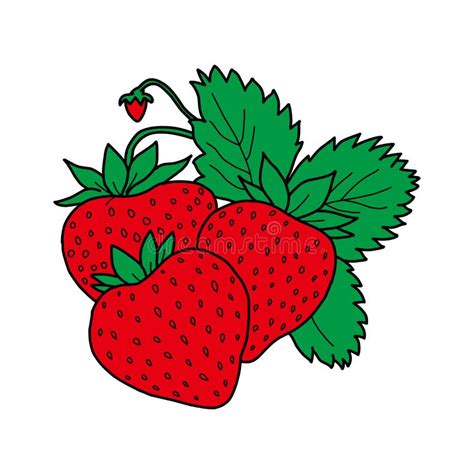 Fruta De Fresa O Fresas Iconos Modernos De IlustraciÃ³n Vectorial Con