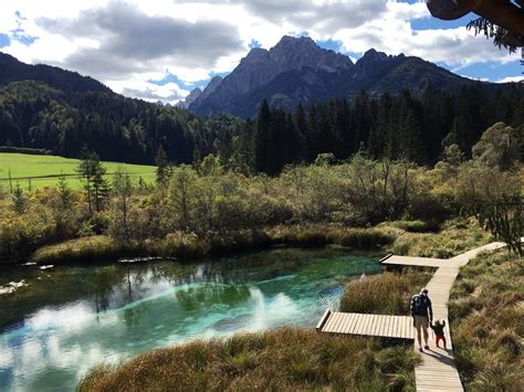 Exploring Zelenci Nature Reserve With Kids - The Baby Bus Adventures