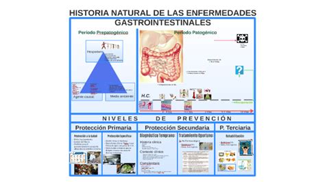 Historia Natural De Las Enfermedades Gastrointestinales By Cindy