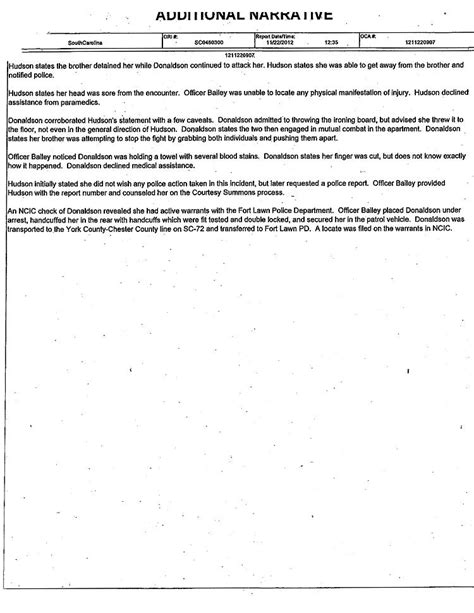 Cops Missing Sex Toy Triggered Domestic Assault The Smoking Gun