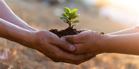 Un viaje hacia la sostenibilidad de la agricultura en América Latina y el Caribe CIEPS