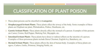 Plant Poisons Ppt