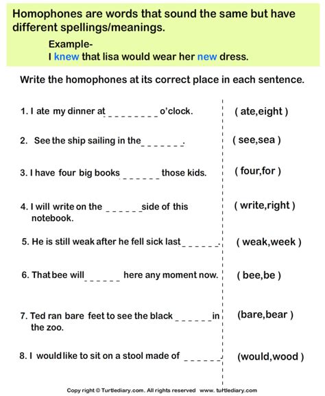 Fill In The Blanks With Correct Homophone Turtle Diary Worksheet