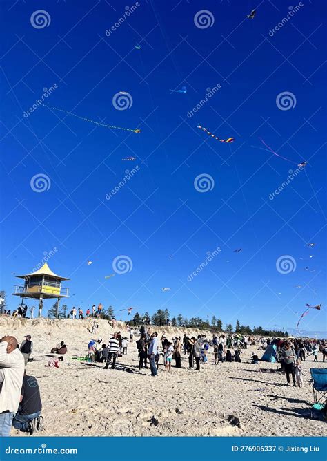 Adelaide International Kite Festival Editorial Photography Image Of