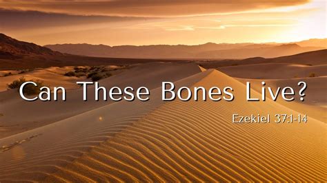 Can These Bones Live Ezekiel Youtube