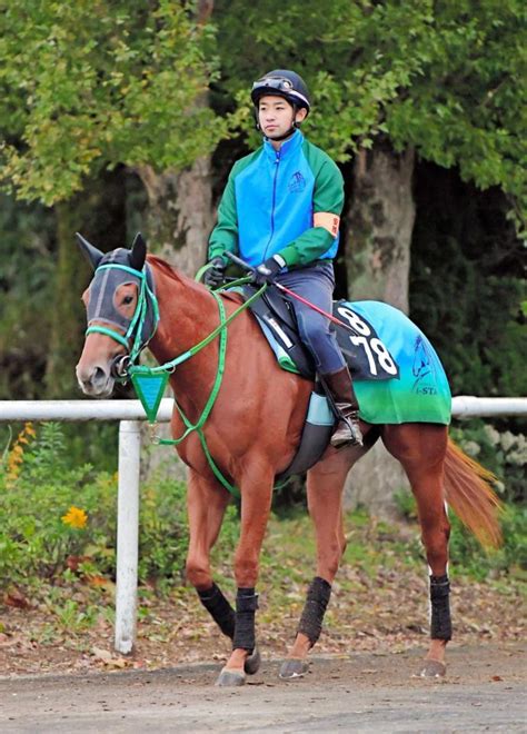 【pog】プリメラビスタ初陣vだ 半姉はg1・6勝のブエナビスタ競馬・レースデイリースポーツ Online