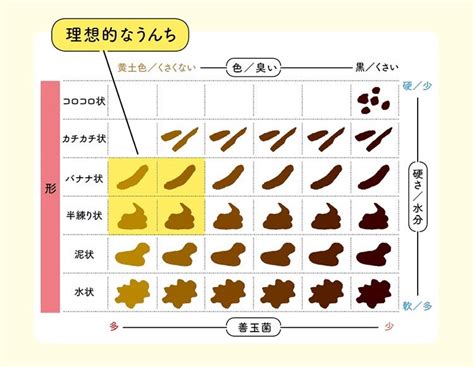 うんち診断 Training Salon Lifeのブログ