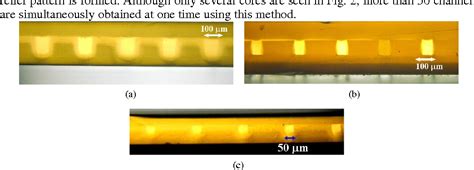 Figure From Polymer Optical Waveguide With Multiple Graded Index