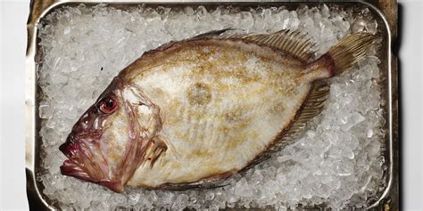 How To Cook John Dory Great British Chefs