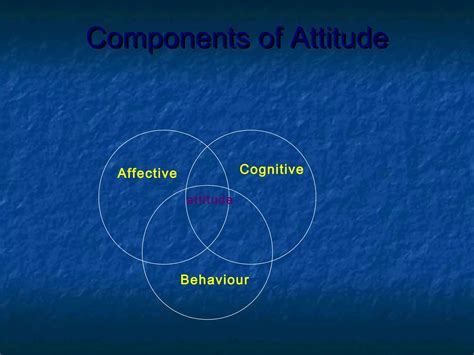 Individual Behaviour In Organisation 5