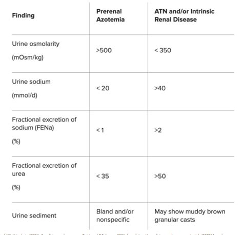 Intrinsic Kidney Disease Flashcards | Quizlet