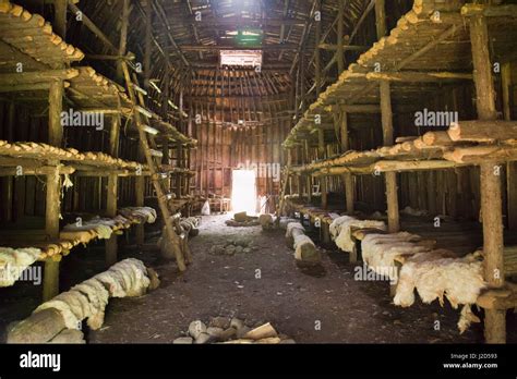 Iroquois Longhouse Interior