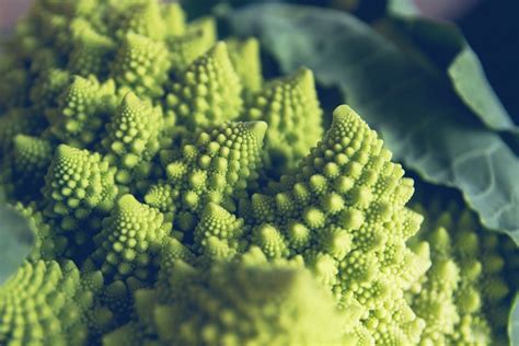 Brassica Oleracea Botrytis Group Romanesco Cauliflower Great To Look At And Tasty To Eat