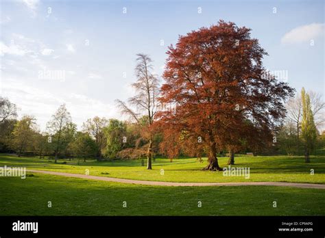 Christchurch park, Ipswich, UK Stock Photo - Alamy