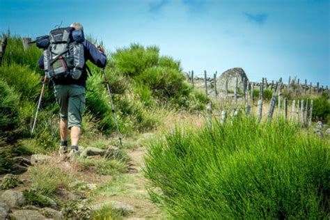 Association Du Qu Bec Compostelle L Homme Qui Marche Partout