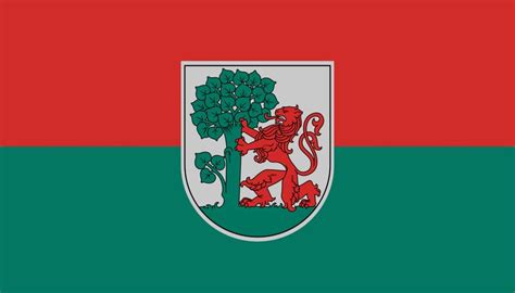 Flag of Portugal with Lion