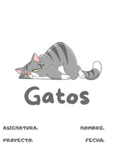 Portadas De Gatos Descarga Gratuita