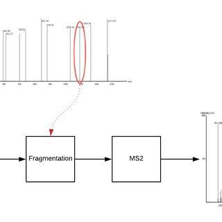 Diagram of tandem mass spectrometry | Download Scientific Diagram