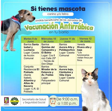 Vacuna Antirr Bica Gratuita Para Perros Y Gatos De Dosquebradas