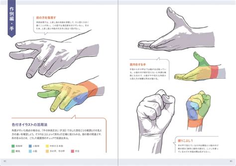 Anatomy of hand and foot