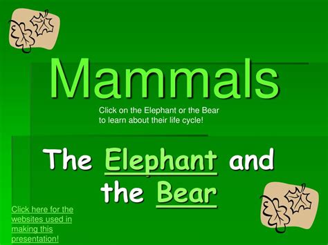 Ppt Mammals Powerpoint Presentation Free Download Id 6433366