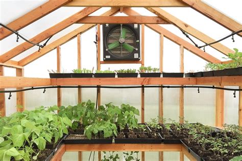 5 Tips for Greenhouse Ventilation and Cooling - Greenhouse Info