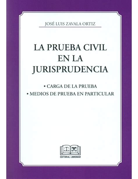 LA PRUEBA CIVIL EN LA JURISPRUDENCIA