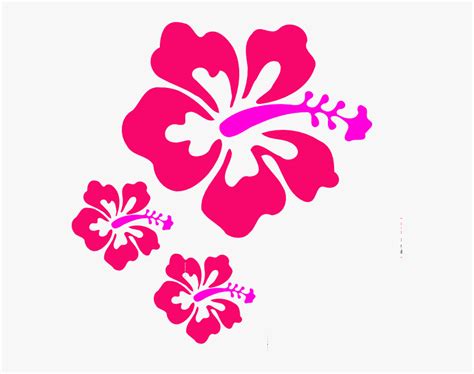 Coral Hibiscus Svg Clip Arts Clipart Hawaiian Flowers Hd Png