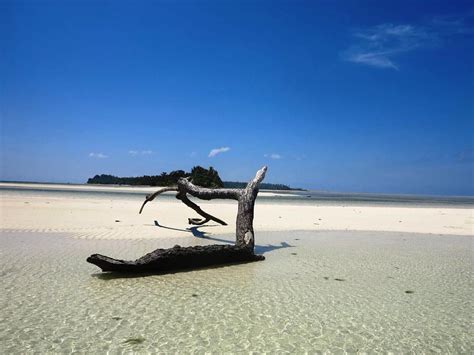 Maliqkakaban on Instagram: “Rani Island Kepulauan Aruri Kabupaten ...