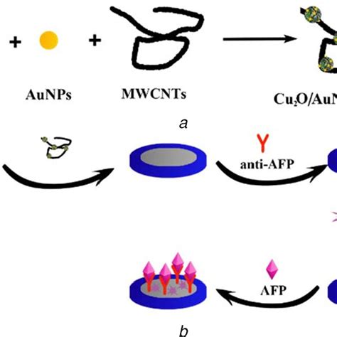 Preparation Procedure Of And The Schematic Illustration Of The