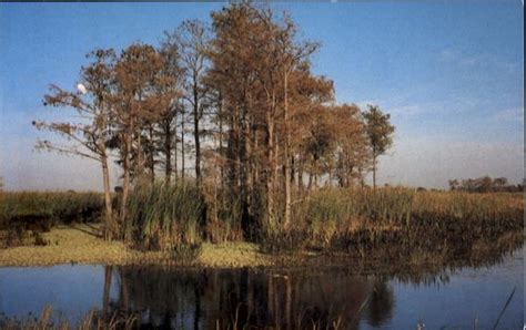 Loxahatchee National Wildlife Refuge Scenic, FL