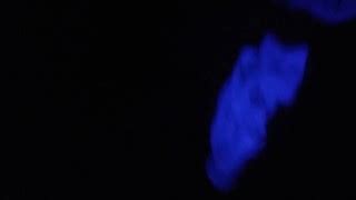 Free Audio Only Porn Videos From Thumbzilla