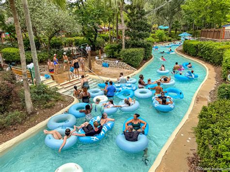 "Keep Bringing the Ducks!" The Cruise Rule That Has Everyone Talking