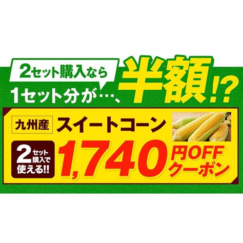 もうすぐ販売終了★500円off とうもろこし スイートコーン すごあまこーん 約27kg~36kg 9本入り 送料無料 7月中旬