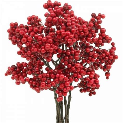 Floristik21 De Deko Zweig Mit Roten Beeren Beerenzweig Herbstdeko 26cm 6St