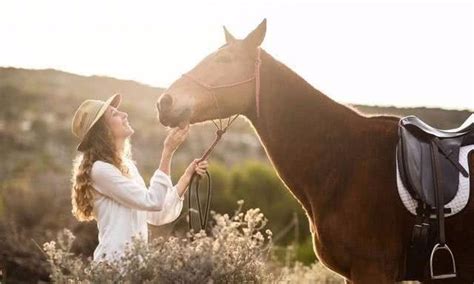 毛驴和马结婚后，生育的后代是什么？现在带你揭晓真相驴骡母驴马骡新浪新闻