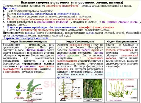 Занятие 11. Моховидные. | ЕГЭ химия и биология, психология | Дзен
