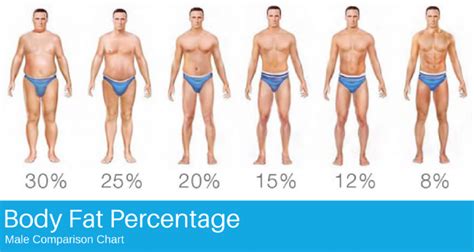 Male Body Comparison Chart