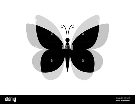 Butterflies Folded Wings Stock Vector Images Alamy