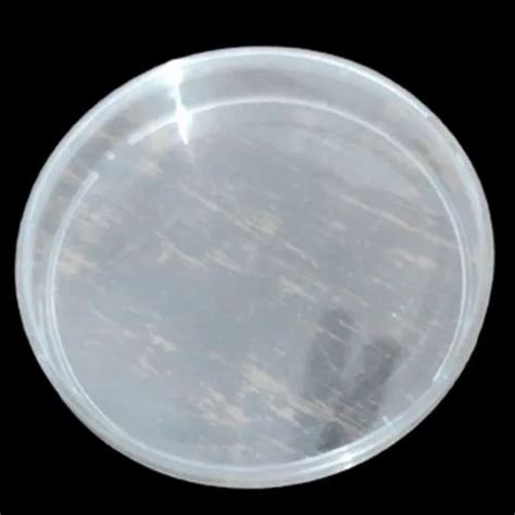 Plain Polystyrene Petri Dish Mm Plastic For Chemical Laboratory At