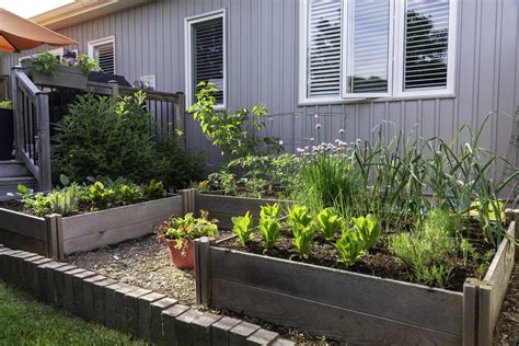 Urban Gardening der Balkon als Anbaufläche für Selbstversorger