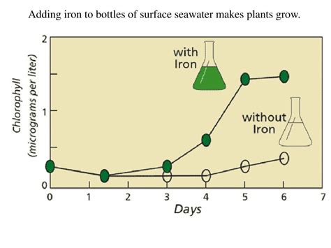 PPT - Iron fertilization: the biogeochemical basis for carbon sequestration PowerPoint ...