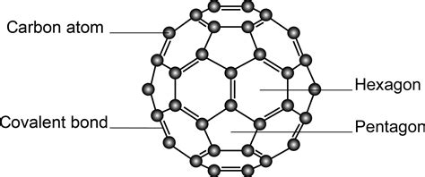Fullerene C60 with cytoprotective and cytotoxic potential: prospects as ...