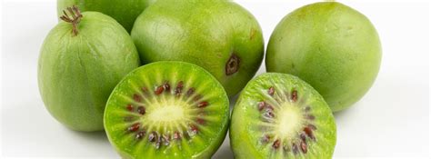 Kiwi berries | Real Life, Good Food