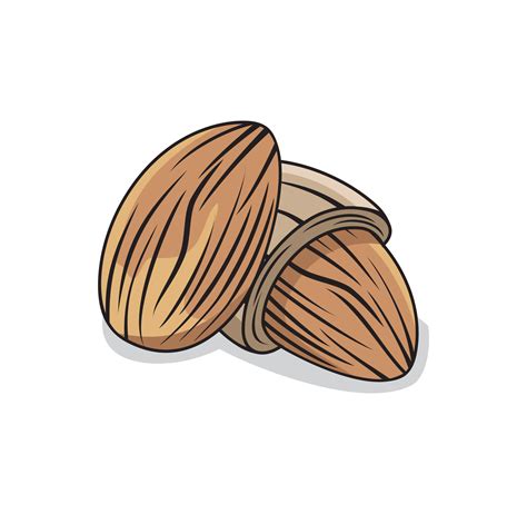 Almond design illustration 3519387 Vector Art at Vecteezy