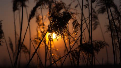 Wallpaper Sunlight Depth Of Field Sunset Night Nature Reflection